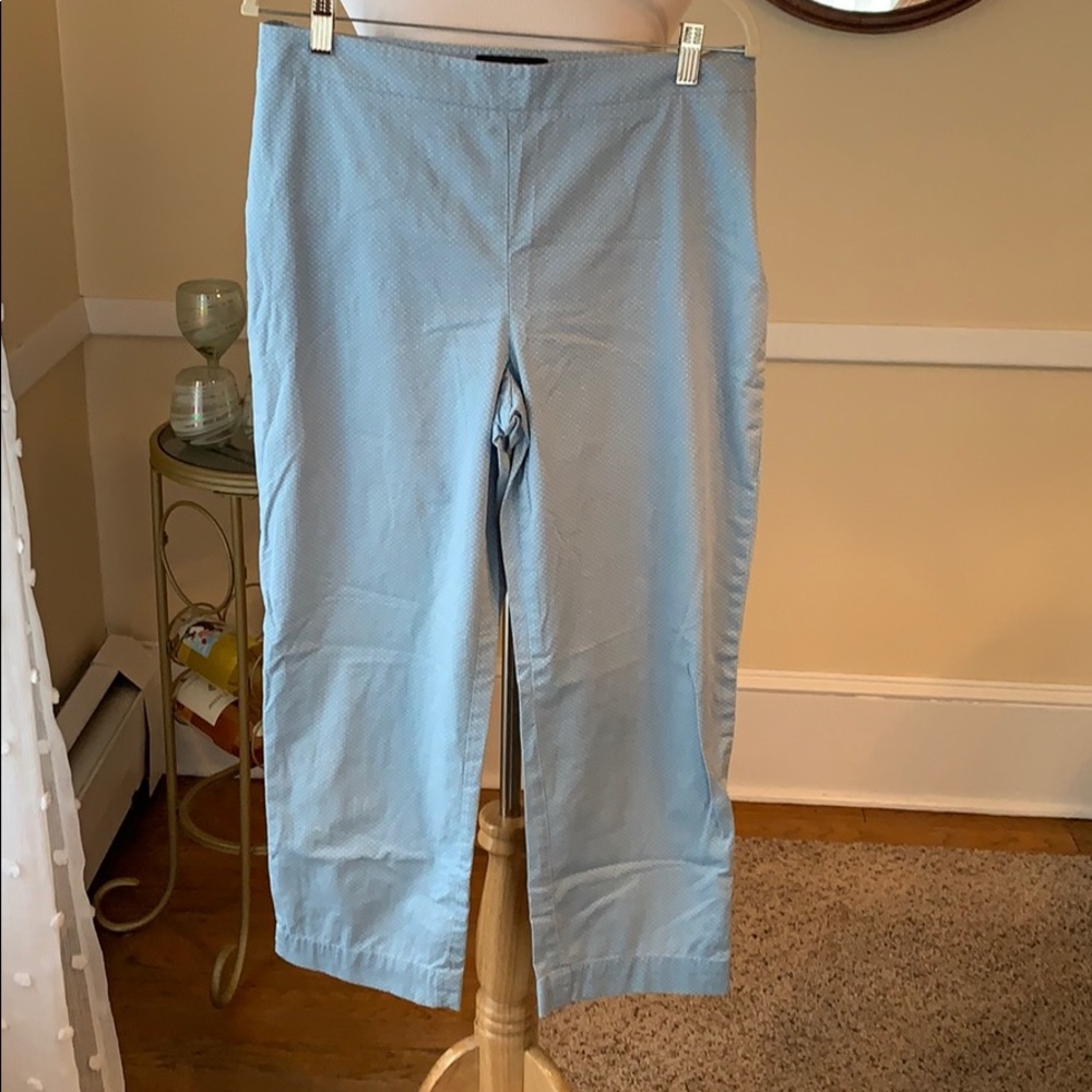 NWT Talbots Size 10 Cropped Pants Pale Blue